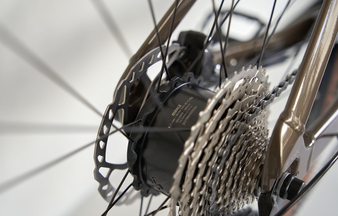 Hoheacht Lumo Ripinio 1 1100x705