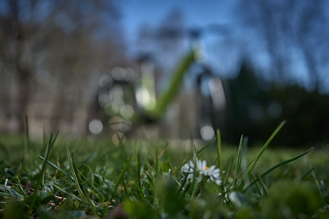 Kilauea Pendix Outdoor 8 1100